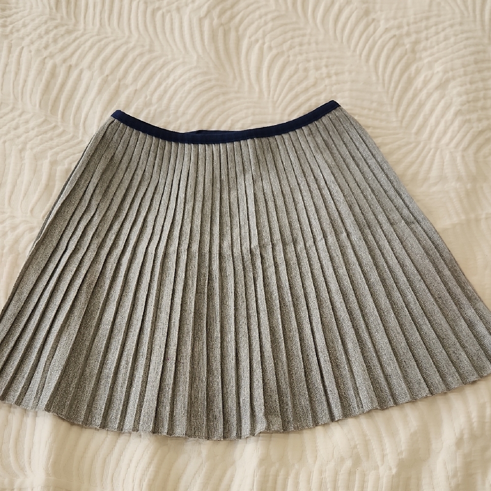 Zara Gray A-Line Pleated Skirt